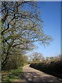 Road near Hill Side Cross in EX36 4NN