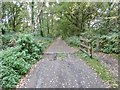 Newbridge, cattle grid in SO40 2NX