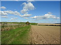 Bridleway approaching Down Barn in SN8 1QE