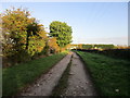 Track from spring Farm in DN4 9HF