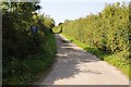 Road to Oxwick Farm in BS37 6PB