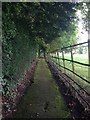 Path leading to St Peter's Church, Blackland, Calne in SN11 8UQ