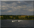 Solar panels south of Retford in DN22 7JL