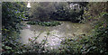 Limmer Pond in SP11 9EX