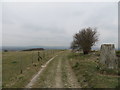 Track at Etchilhampton Triangulation Pillar in SN10 3LD