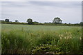 Farmland by the Ashby Canal in CV13 0PE