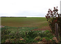 Farmland north of Hinton Parva in BH21 5AA
