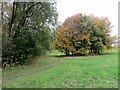 Small copse at Ousel Nest in BL7 0DP
