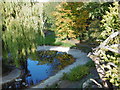 Pond in Rockliffe Gardens in SE18 2AG