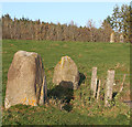 Druidsfield Standing Stones (2) in AB33 8AP