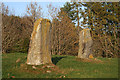 Druidsfield Standing Stones (3) in AB33 8AP