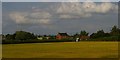 Houses on Bullpit Road, Newark, from the railway in NG24 3NE
