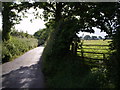 Near Blagrove Farm in EX21 5BH