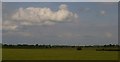 Countryside east of Balderton, from the railway in NG24 3XJ