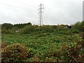 Silverdale: abandoned allotments in ST5 6LZ