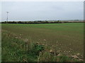 Flat farmland off High Road  in CB6 2DT