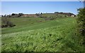 Farmland at Birdsmoorgate in DT6 5QD