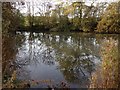 Bitteswell Pond in LE17 4FX
