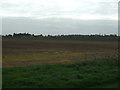 Flat farmland, Phoenix Farm in CB6 2EG