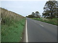 National Cycle Route 11  in PE14 9RB