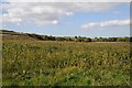 Field beside the Gloucester to Bristol Railway in Charfield