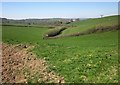 Farmland near Burstock in Burstock