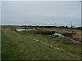 Ponds and Reed Beds by the River Don in DN7 5AZ