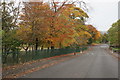 Autumn colours, Caldercuilt Road in G20 0HU
