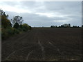 Flat farmland off the B1100, Tipps End in PE14 9SL