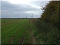 Farmland beside drain in PE14 9PH