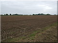 Flat farmland near The Woodlands in PE14 8PJ