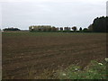 Flat farmland near Dial Farm in PE14 8QR