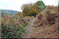 Ebbw Valley Walk near Load of Hay Lane in NP11 3AX
