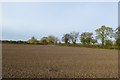 Farmland near Monk Bridge in YO8 3ED