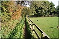 Footpath near Upton House in SO21 3PX
