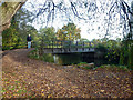 Footbridge over Holy Brook in RG31 7AS