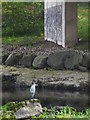 A heron under the A590 bridge in LA8 8EB