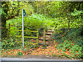 Stile and Steps off Beacon Lane in WN8 6RB