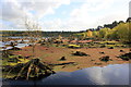 Blakemere Moss, Delamere Forest Park in WA6 6NW