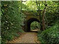 Harborne Walkway, Woodbourne Road Bridge in B17 9PE