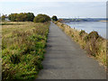 Cycle path alongside the Blyth estuary in NE24 1PL