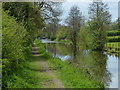 Towpath along the Stratford-upon-Avon Canal in B95 5EL