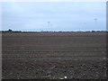 Flat farmland towards wind farm in PE12 9AL