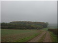 Approaching Jack's Furze in Hallington