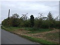 Woodland beside Bullock's Short Gate in PE12 0DG