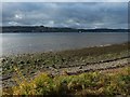 Clyde foreshore near Kirktonhill in G82 4AP