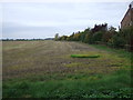 Stubble field and hedgerow near Broadgate House in PE12 0DE