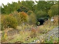 Railway tunnel near Chapel-en-le-Frith in Chapel West Ward