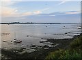 Collier's Reach at low tide (1) in Heybridge Basin