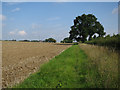 Footpath to Great Wilsey Farm in CB9 7UE